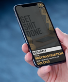 Destroy procrastination and get back on path of success E-book
